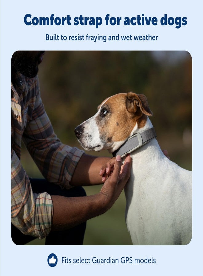 بيت سيف حزام بديل من PetSafe لطوق تتبع الكلاب Guardian GPS + وطوق تتبع الكلاب Guardian GPS - مصنوع من مادة ناعمة الملمس - مقاوم للماء - قابل للتعديل - تصميم متين - رمادي - Image 3